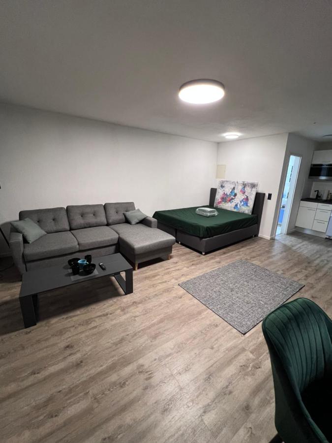 Business Apartment Karlsruhe Buitenkant foto